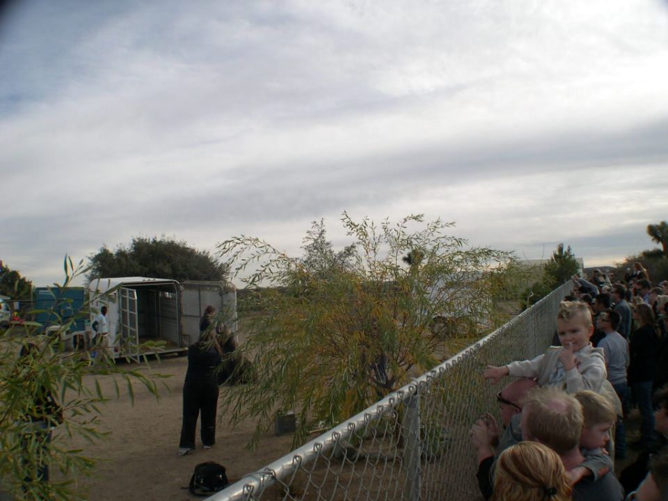People watching trailers, one with an open door, in a dusty outdoor area