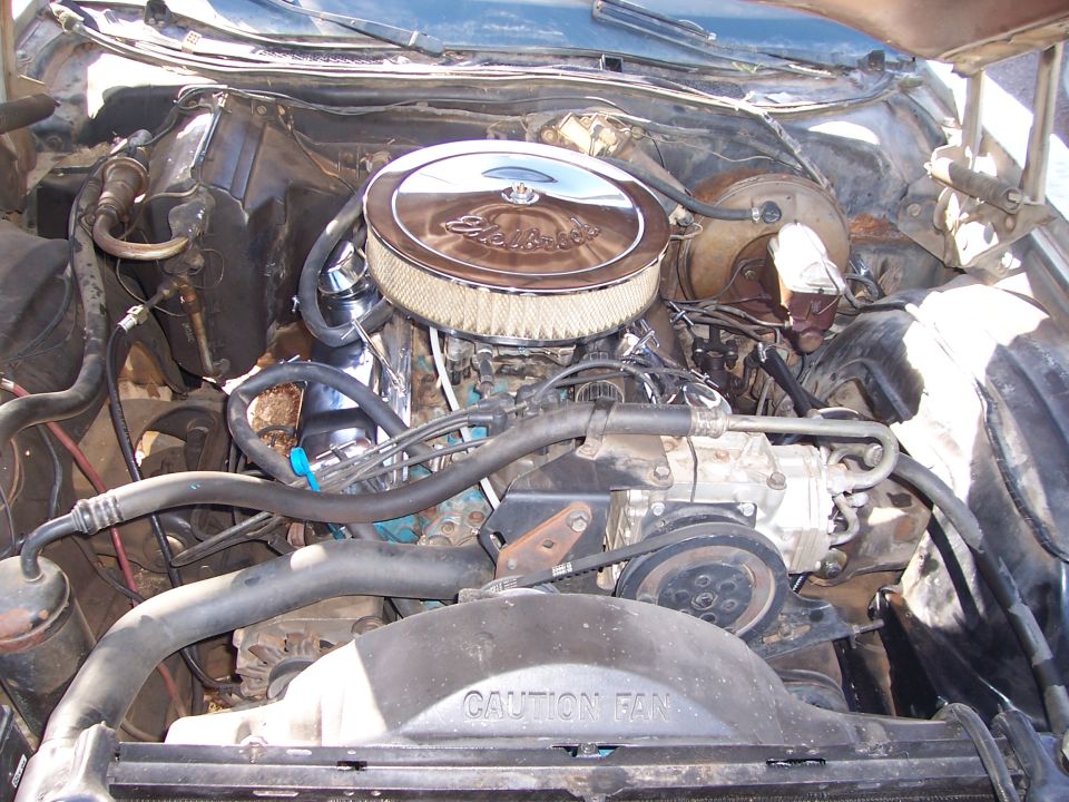 Engine bay with chrome air cleaner, fan shroud reads 'CAUTION FAN'