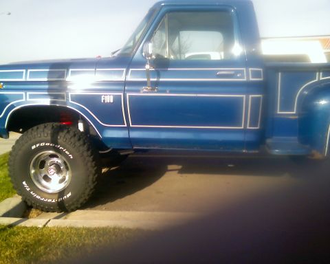 1979 Ford F-150 - f100