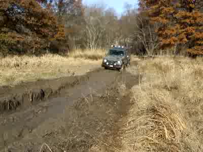 1979 Ford Bronco