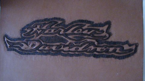 2001 Harley-Davidson Sportster Custom - Close up of bike bad