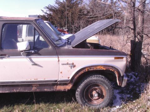 1980 Ford Bronco photo