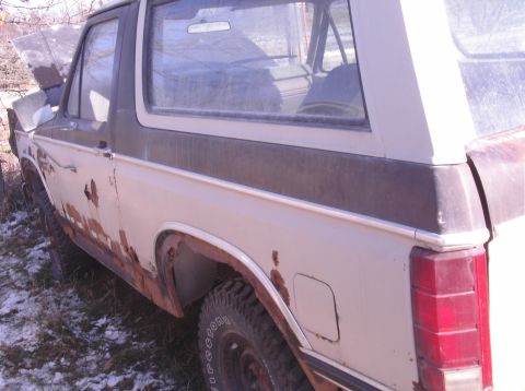 1980 Ford Bronco photo