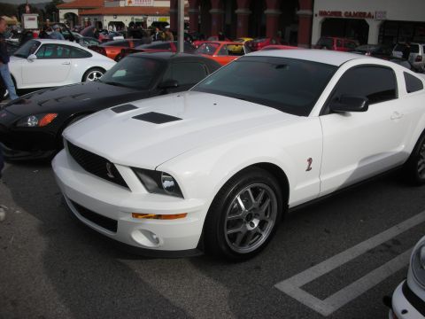 1998 Ford Crown Victoria - white Ford Mustang Shelby GT500 coupe with hood scoop and Cobra badge parked beside a black Mustang at a show.