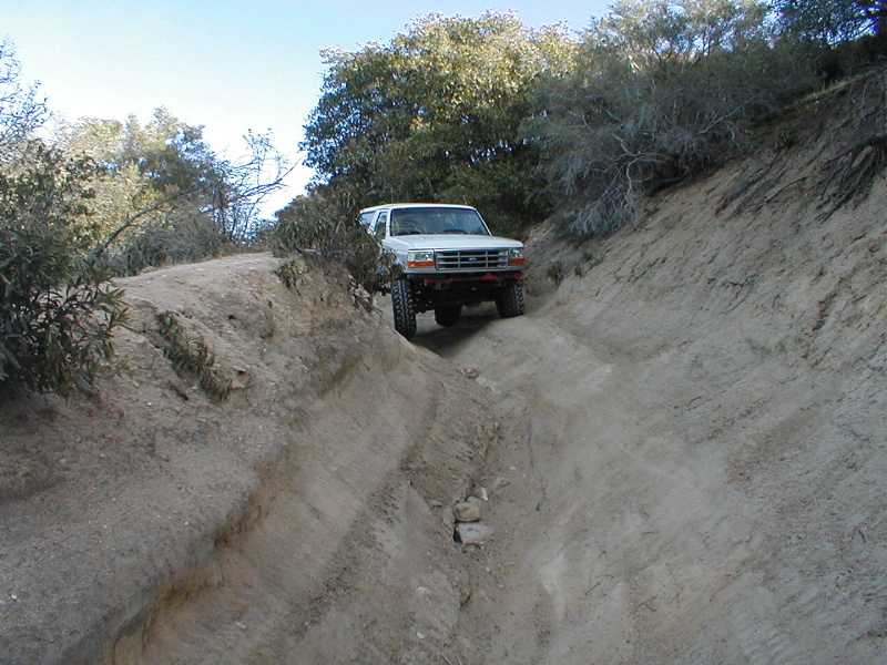 White Ford Bronco driving down a steep, rutted dirt trail with dry brush and trees on either side