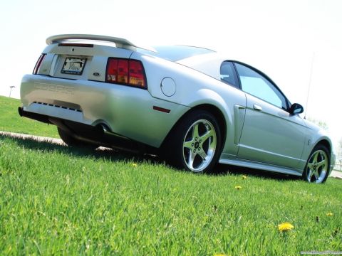 1998 Ford Taurus - A silver Ford Mustang Cobra is shown from the rear quarter angle, parked on a grassy incline under a bright sky.