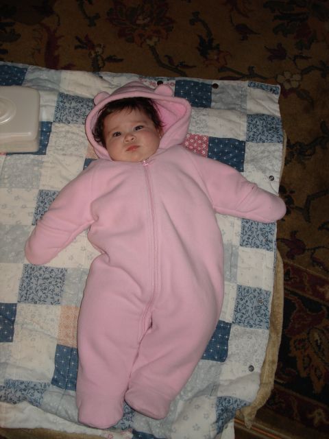 2000 Ford Crown Victoria - A baby dressed in a pink snowsuit with attached hood lies on a quilt.