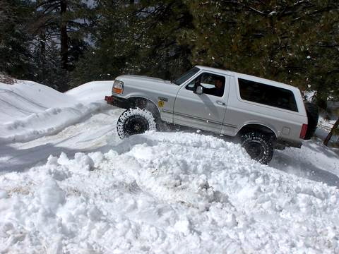 1996 Ford Bronco - A white 1996 Ford Bronco navigates a snowy path in a wooded area.