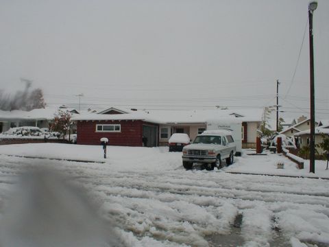 1996 Ford Bronco - A white 1996 Ford Bronco is parked in a snowy residential area, hitched to a trailer.