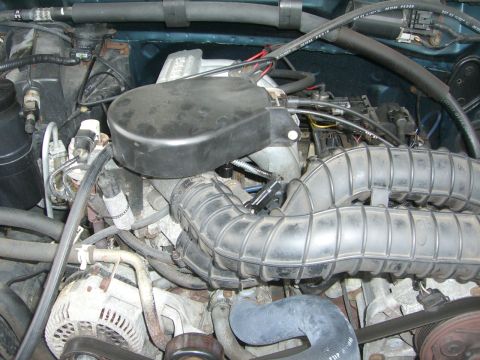1994 Ford Bronco photo