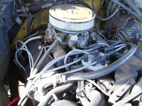 Motor - 1979 Ford F-100