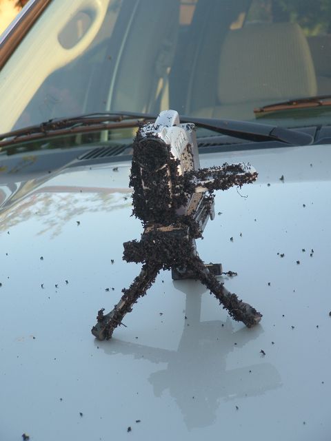 2007 Kawasaki Ninja - A camera on a tripod is covered in dead insects, resting on the hood of a white vehicle.