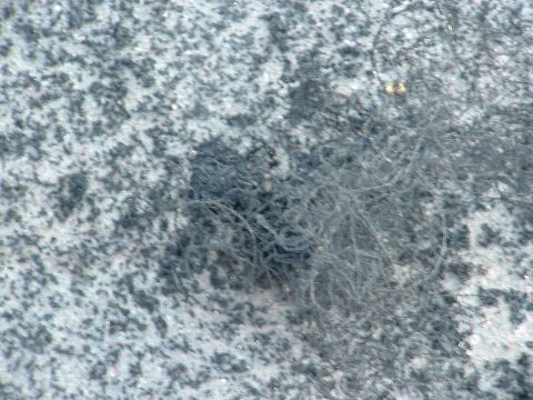 2007 Kawasaki Ninja - Tangled fishing line is visible on a speckled gray surface.