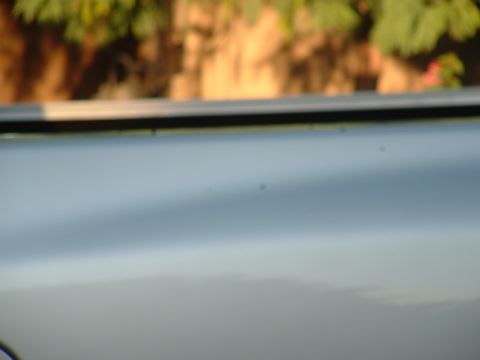 2007 Kawasaki Ninja - A silver 2007 Kawasaki Ninja motorcycle is viewed from the side, with foliage reflected on its body panel.