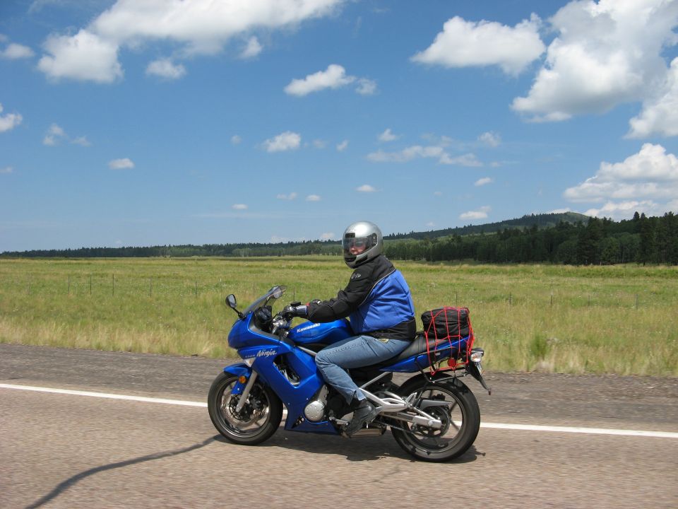 Rider on blue Kawasaki Ninja motorcycle on road with grassy field and trees in background