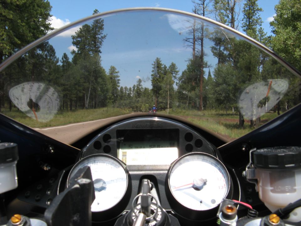 Motorcycle dashboard with two gauges and digital display, looking through windshield at a forest road