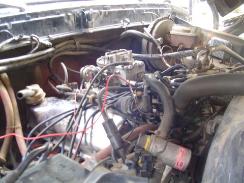 1978 Ford Bronco photo