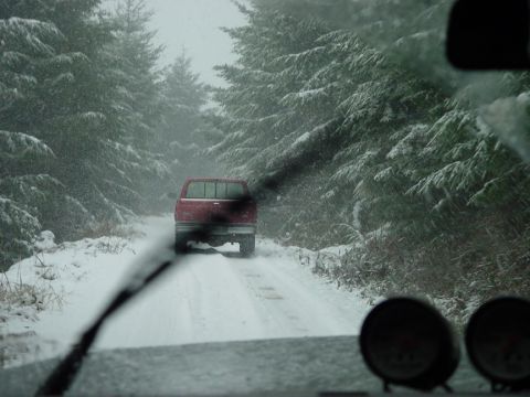1979 Ford Bronco - A red pickup truck drives away on a snow-covered road through a forest.
