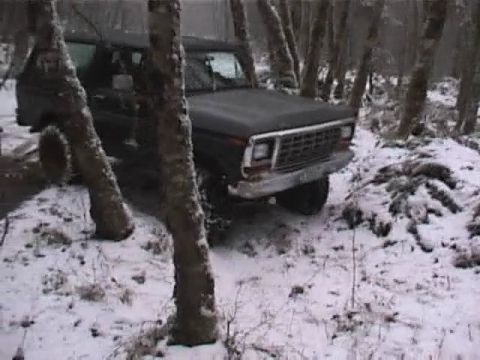 1979 Ford Bronco - A dark 1978 Ford Bronco navigates a snowy, wooded terrain.