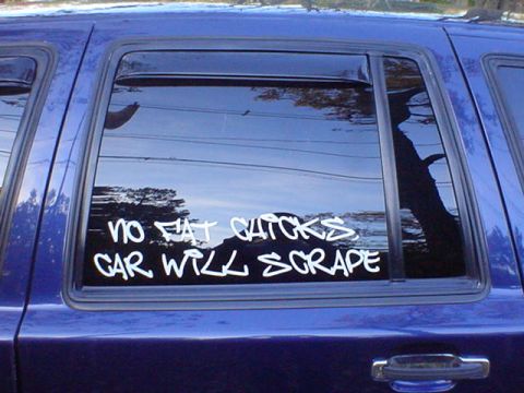 1994 Lincoln Town Car - my car 2
