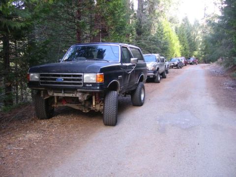 1989 Ford Bronco - A line of trucks and SUVs, including a black 1989 Ford Bronco, are parked on a dirt road surrounded by trees.