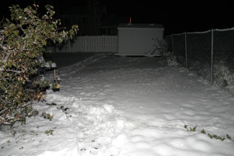 1994 Ford Bronco - Of course it snowed today(1 Dec 07)