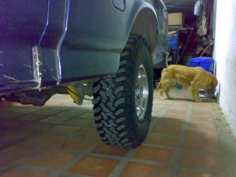 1995 Ford F-150 - Ground-level view along the passenger side of a dark blue pickup parked on a red tile floor, showing a new mud-terrain tire on a polished m…