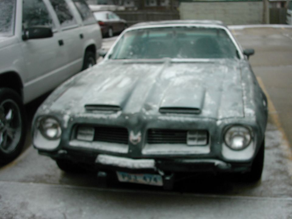 1975 Pontiac Firebird “streetcamoed/firechicken”