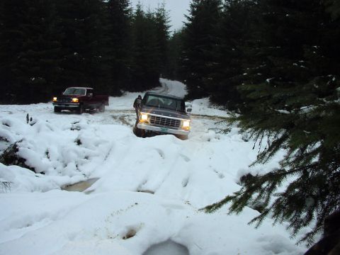 1979 Ford Bronco - Two trucks navigate a snowy forest road, one with its headlights on.