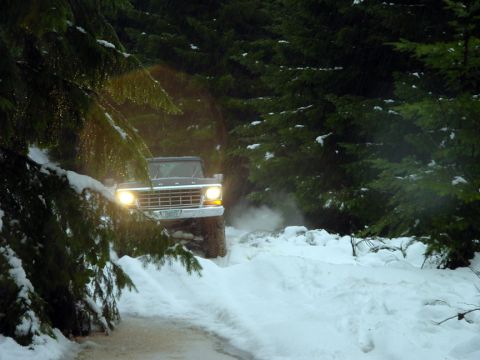 1979 Ford Bronco - Ford Bronco navigates a snow-covered path through a dense forest.