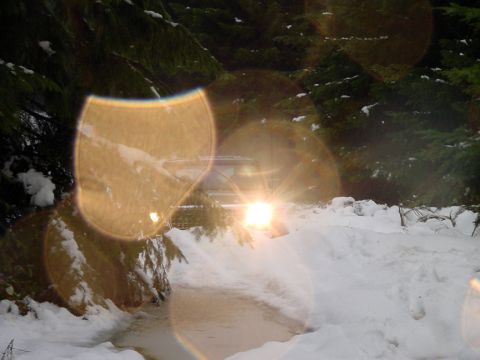 1979 Ford Bronco - A vehicle navigates a snowy path through a forest, its headlights cutting through the dim light.