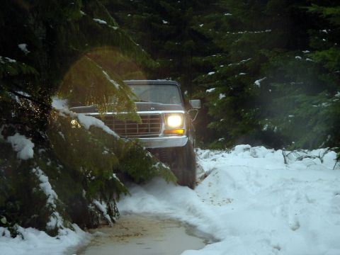 1979 Ford Bronco - A dark SUV navigates a snowy path surrounded by trees.