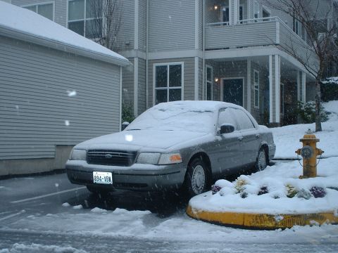 2000 Ford Crown Victoria - A 2000 Ford Crown Victoria sits parked in the snow, its front end visible with a license plate reading 894-VBN.