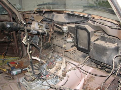 1982 Ford Bronco photo