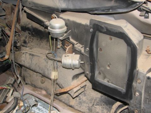 1982 Ford Bronco photo