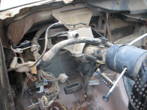 1982 Ford Bronco photo