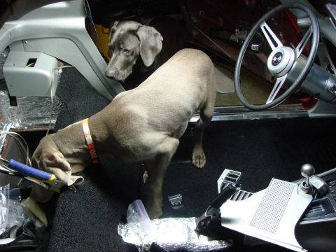 1975 Chevrolet Corvette - The Weims check out my progress