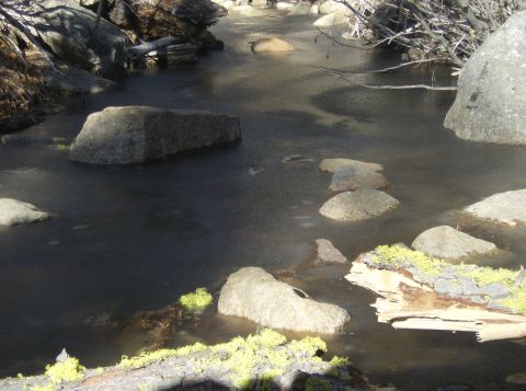 1986 Ford Bronco - A frozen stream flows over rocks, with moss-covered logs along the bank.