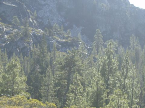 1986 Ford Bronco - A scenic view of a mountain landscape dotted with pine trees, a SuperMotors watermark in the lower right corner.