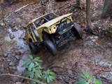1992 Ford Mustang - This off-road vehicle is navigating a challenging, wet, and wooded terrain.
