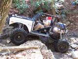 1992 Ford Mustang - Custom buggy navigating a challenging rocky trail with dense foliage.