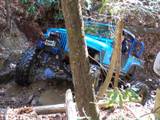 1992 Ford Mustang - Off-road vehicle stuck deep in mud and foliage, requiring recovery.