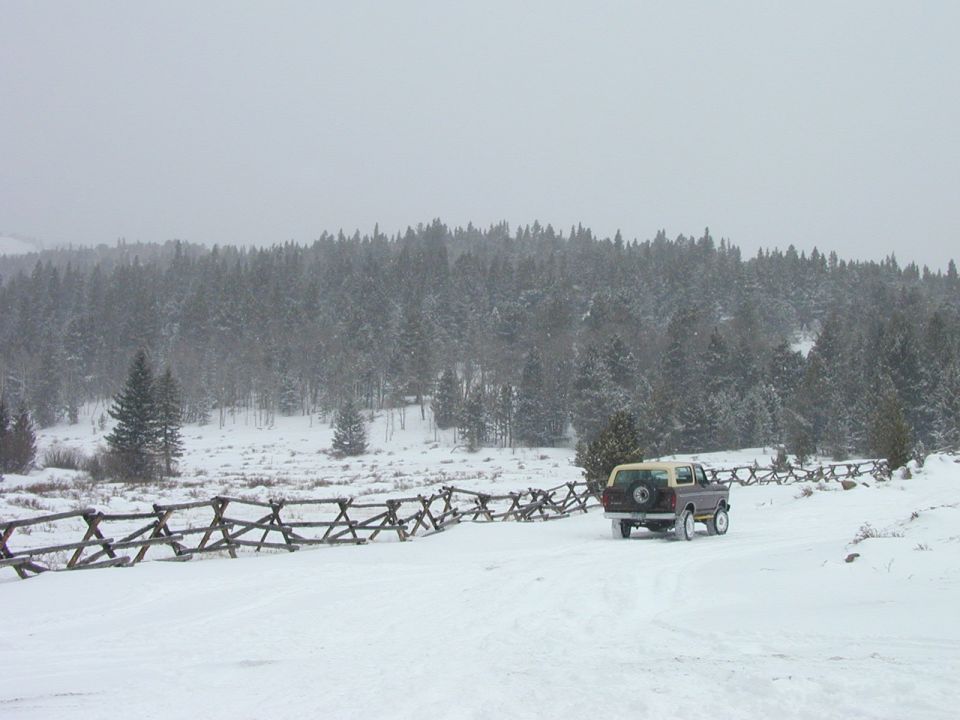1979 Ford Bronco rear view in snowy landscape