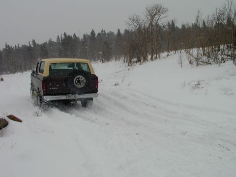 1979 Ford Bronco - A 1979 Ford Bronco with a tan top drives through a snowy landscape with trees in the background.