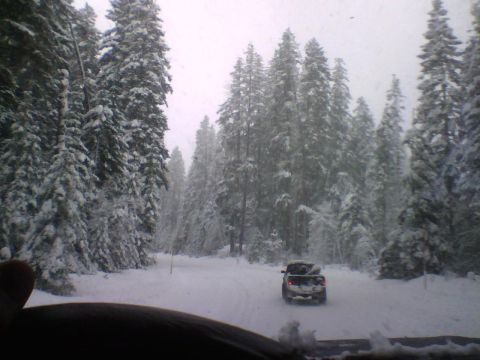 1993 Ford Bronco - A pickup truck drives on a snow-covered road through a forest.