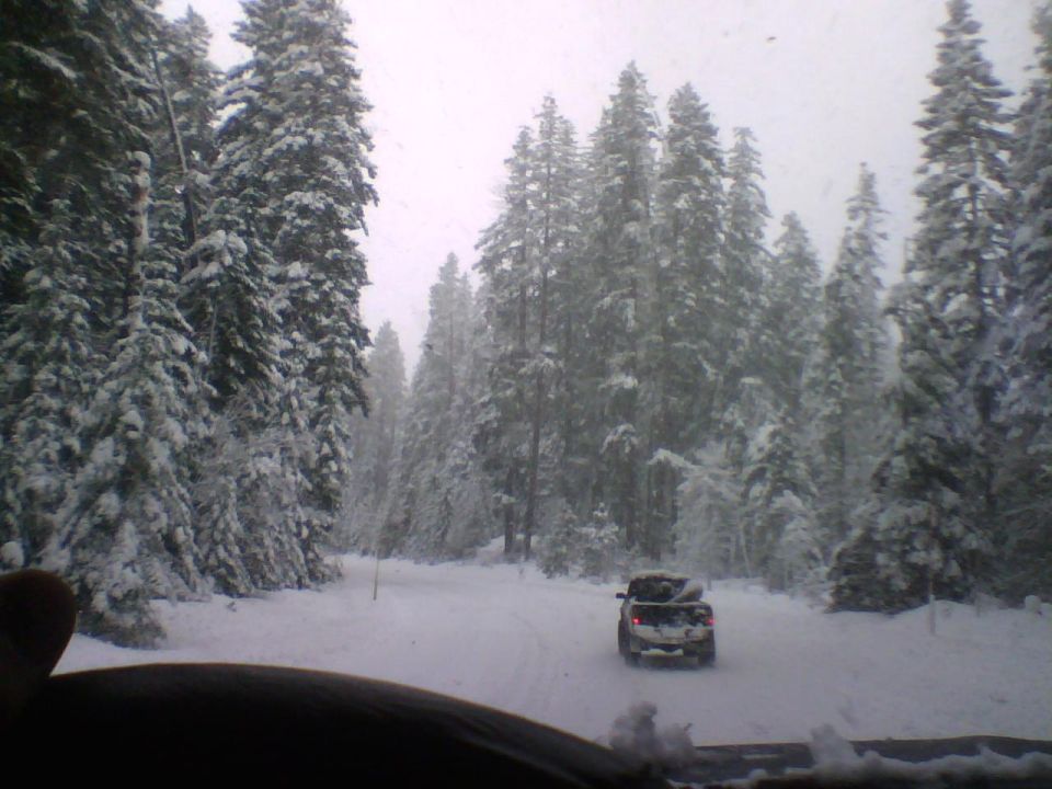 Pickup truck on snowy road, rear view