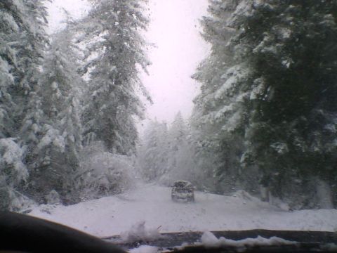 1993 Ford Bronco - Driving on a snow-covered road through a forest, with another vehicle ahead.