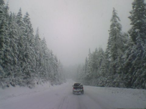 1993 Ford Bronco - A lone SUV navigates a snowy road flanked by snow-laden pine trees in a winter landscape.