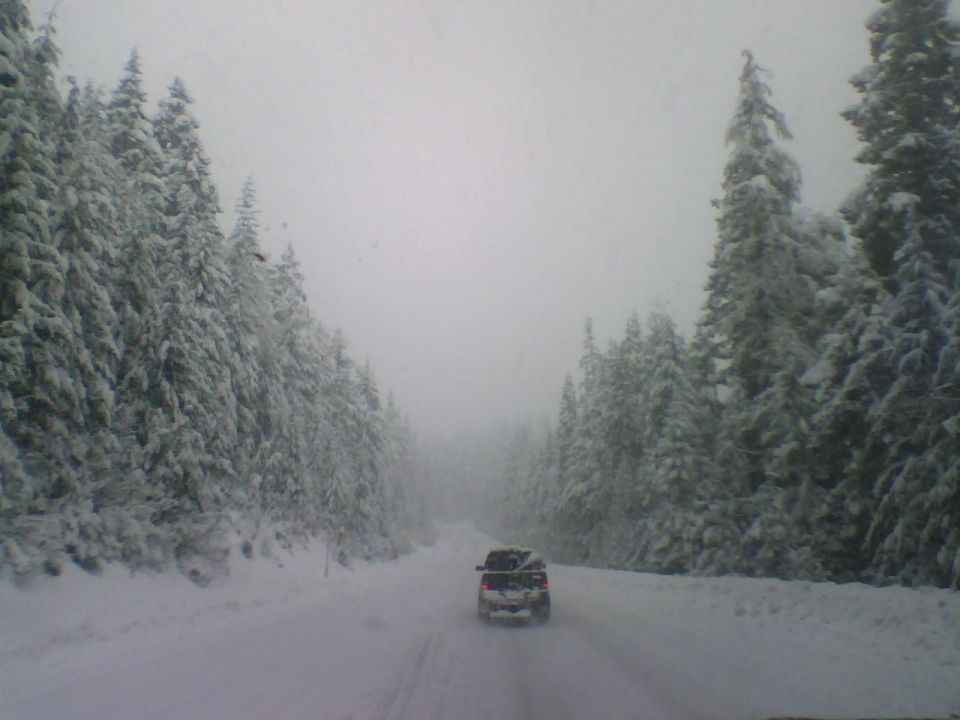 SUV driving on a snow-covered road through a forest with snow on the trees