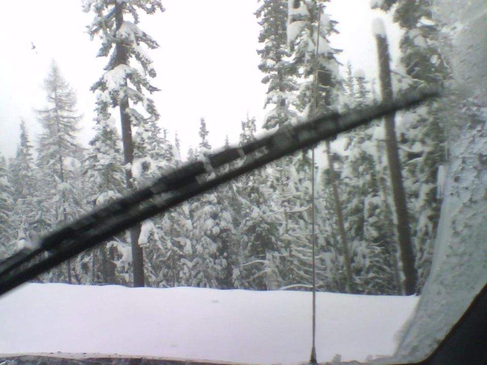 Windshield view of snowy forest with wiper blade